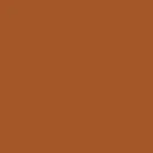 Warm brown matte color field, uniform tone, flat visual plane, consistent earthy hue, no texture or pattern, simple background composition.