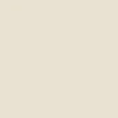 Pale beige solid color background, smooth matte finish, even lighting, neutral composition, consistent tone, no texture or pattern visible.