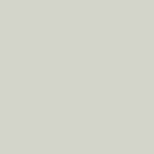Pale gray color field with matte finish, uniform tone, and flat composition filling the frame, lacking texture or visual variations.