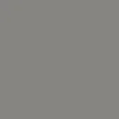 Solid medium-gray background with consistent tone, even lighting, and no discernible texture or pattern, presenting a flat, uniform visual field.