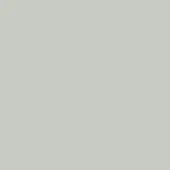 Pale gray color swatch, matte finish, with “9018” text in lower right; uniform cool tone with subtle beige undertones, smooth surface.