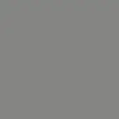 Mid-tone gray matte surface fills the frame, presenting a uniform color and lacking texture or tonal variation with even, diffuse lighting.