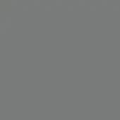Monochromatic gray field, matte mid-tone surface, uniform color distribution, and simple composition with no texture or discernible visual elements.