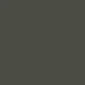 Dark gray monochromatic field, matte texture, uniform color, simple backdrop, solid tone, neutral composition, flat visual structure, no elements.