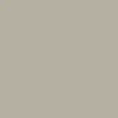 Muted gray-beige color field, matte finish, uniform tone, even lighting, no texture, subtle “7032” code in lower right corner.