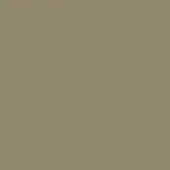 Solid brown color field, matte finish, consistent tone, smooth surface, uniform composition, lacking texture or variation, neutral background.