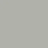 Solid gray background with a smooth, matte texture and even lighting, presenting a uniform color field devoid of patterns or gradients.