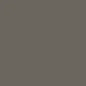 Muted medium-brown monochromatic color field, matte finish, uniform tone, no texture, simple composition, solid background, neutral palette.