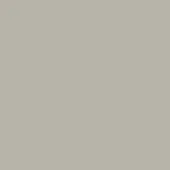 Solid gray color field, matte texture, even lighting, uniform tone, smooth surface, consistent neutral palette, full frame composition.