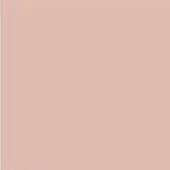 Pantone 4745C color swatch, muted dusty rose with peach and gray undertones, uniform surface, vertical color band, diffused lighting.