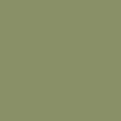 Pantone 5773c color field, muted earthy green tone, matte finish, uniform diffused lighting, simple composition, consistent surface appearance.