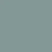 Pantone 5497c color swatch, muted gray-green tone, matte finish, uniform surface, design material sample, neutral background, cool palette.