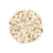 Folded paper wall decor, off-white and gold foil, radiating circular pattern with subtle imprinted text and matte finish.