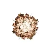 Circular pendant light, bronze metal, radial layered design with crystalline edges and bright white illumination from the center.
