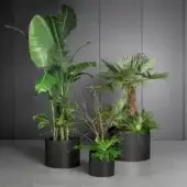 Sophisticated Bonaldo Metal Planter with cylindrical silhouette and matte black metal construction