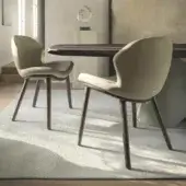 Distinctive Cattelan Italia Rachel chair with light beige shell and seat, built with a smooth dark brown precious wood base