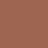 Terracotta color field, muted earthy tone, uniform composition, subtle saturation variations, matte finish, simple flat expanse, neutral background.