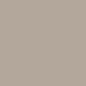 Light grey color field, uniform tone, and saturation throughout the frame, with even diffuse lighting and no visible textures or patterns.