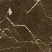 New Saint Laurent marble texture, dark brown stone with white and golden veining, polished surface displaying natural fissures.
