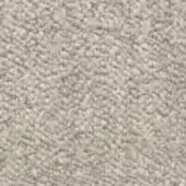 Granular beige texture composed of irregular particles, displaying a rough, uneven surface with subtle tonal variations and diffuse lighting.