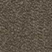 Granular earthy texture, muted brown tones, speckled pattern with beige and gray variations, rough uneven surface, densely packed particles.