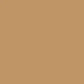 Muted brown rectangular color field, uniform tone, digitally rendered surface, even lighting, no texture or pattern, consistent coloration.