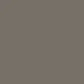Gt lacquered clay color field, matte dark taupe tone, smooth uniform surface, diffuse lighting, solid background composition.