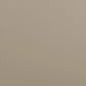 Muted beige color field, smooth matte surface, subtle tonal gradient darkening towards the bottom, even diffuse studio lighting, neutral composition.