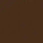 Bronze color field, matte finish, uniform tone, even lighting, flat expanse, consistent surface, no texture, monochromatic composition.