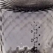 Monochromatic water surface with concentric ripples, dark organic shapes, and scattered bubbles, displaying gray and black tones with diffused lighting.