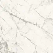 White marble texture with grey veining, displaying irregular branching patterns and a matte, polished stone finish.