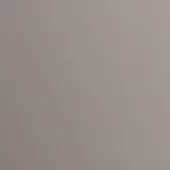 Gray gradient background, neutral tones, diffused lighting, smooth color transition, monochromatic composition, even illumination, subtle shading.