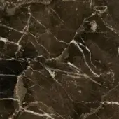 Dark brown marble texture with white and cream veining, displaying a polished surface and complex organic patterns across the natural stone.