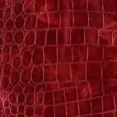 Red crocodile embossed leather texture, rectangular scales and rounded bumps, matte finish, distressed grain, “cobra rosso” sample.