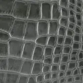 Dark green embossed leather texture, coccodrillo verde, displays a dense crocodile skin pattern with irregular scales and subtle tonal variations.