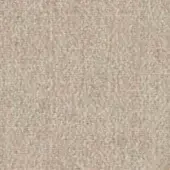 Beige fabric swatch displaying a dense woven texture with tonal variations, featuring a matte finish and consistent, slightly rough surface.