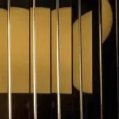 Guitar strings silver against honey-toned wood grain, vertical lines contrasting polished texture with dark background.