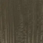 Dark grey eucalyptus wood grain texture, satinized finish, vertical pattern, muted cool tones, smooth surface, consistent fine detail.