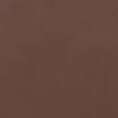 Distressed brown texture with mottled pattern, reddish-clay tone, granular surface and tonal variations creating depth as a background element.
