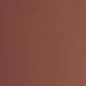Rectangular panel, reddish-brown matte finish, dark border, smooth surface, even lighting, simple composition, resembling a cover or document.