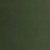 Dark olive green solid color field, matte texture, uniform lighting, and simple abstract composition with subtle grain and no visible details.