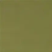 Olive green square color field, matte texture, monochromatic composition, consistent tone, digital rendering, no pattern or visible details.