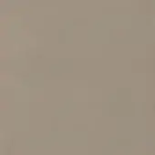 Warm gray matte surface with subtle tonal variations and diffuse lighting, presenting a smooth, uniform composition without texture or pattern.