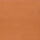 Terracotta square color field, muted orange hue, subtle matte texture, diffused light, uniform tone, and simple composition.