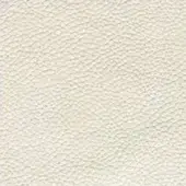 Light beige pebbled texture with a fine-grained, consistent pattern of small bumps and a warm, off-white matte finish.