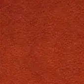 Granular orange texture with mottled tone, displaying a dense, uneven pattern of closely packed elements and a slightly raised surface.