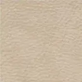Beige crumpled paper texture with a wrinkled surface, displaying uneven peaks and valleys in a muted, warm tone and diffused lighting.