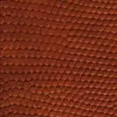 Repeating circular pattern in reddish-brown tones, dense woven texture with subtle tonal variations and horizontal-vertical alignment.