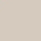 Pale beige background with matte finish, displaying solid color; small “29 platino lucido” text in lower left corner.
