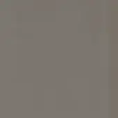 Grigio cenere color field, muted gray tone, uniform matte texture, consistent lighting, minimalist composition, indistinct background.